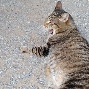 Meet your Posher, Tracey